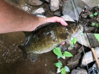 smallie1.jpg