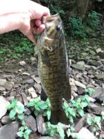 smallie2.jpg