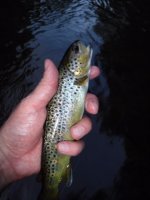 Pohopoco Brown1.jpg
