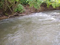 IMG_20190708_153239017.jpg
