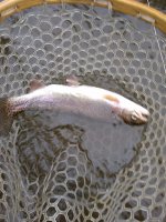 IMG_20190708_143234758.jpg