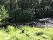 Mud Run 5.jpg