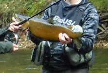 OakBrown3.jpg
