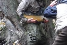 OakBrown2.jpg