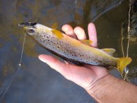 IMG_20191024_163006042.jpg