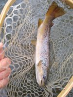 IMG_20191104_133019449.jpg