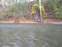 IMG_20191104_135741380.jpg