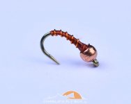 rusty-zebra-2.jpg