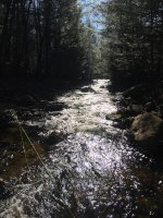 IMG_3079.jpg