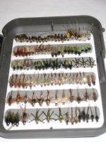 Small Nymphs side 1.JPG