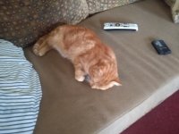 IMG_20191128_105620831.jpg.jpg