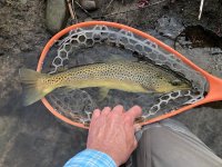 IMG_1999.jpg