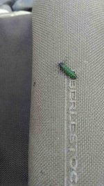 IMG_20190928_122516.jpg