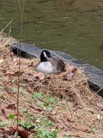 IMG_20200330_165658.jpg