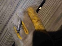 IMG_20200330_212503893.jpg