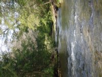 East Hickory Typical Flow Canopy & Clarity.JPG