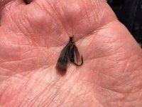 2020 Turkey Harvest Fly.JPG