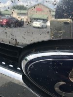IMG_6135.jpeg