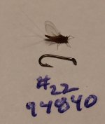 Kettle 2020 smallest rusty spinner vs hook.jpg
