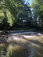 Dam down from spring on Burkholder .jpeg