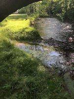 spring up from twin bridges.jpeg