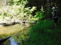 WBr Caldwell June 20.jpg