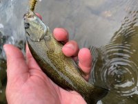 Smallie.jpg