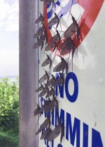 sign.jpg