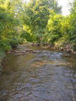 IMG_20200811_174732285.jpg