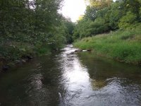 IMG_20200811_190148253.jpg