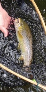IMG_4299.JPG