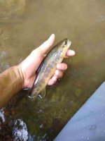 IMG_20200813_164410263.jpg