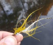 20191013_075723 SS.jpg