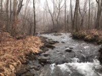 70A149CF-04F0-459F-90EB-4C83314C4697.jpeg