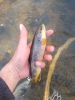 IMG_20210315_160258121.jpg
