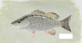 GS29.JPG