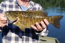 IMG_20200905_180725~2.jpg