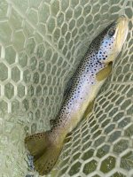 IMG_2684.jpg
