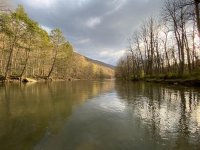 IMG_2736.jpg