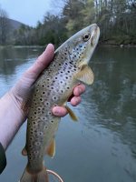 IMG_2845.jpg