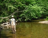 Right before catching first wild brown on YWC.jpg