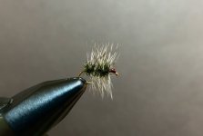 DC290523-C611-433F-9924-D876F8B31A73.jpeg