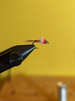 PXL_20220320_012041625.jpg
