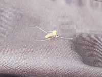IMG_20220501_121003044.jpg