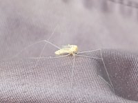 IMG_20220501_121016023.jpg