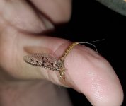 20220526_210802[1].jpg