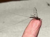 581E8770-0C88-4A2B-AEBF-661A79C57D16.jpeg