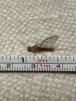 F9632086-9AA5-4893-A016-21AE68734FCE.jpeg