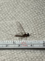 A9DFFB5D-C518-4573-9A98-F5798A60EC41.jpeg