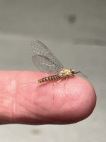 DB7B906F-0515-4267-B4F6-A3DA16E7CBAA.jpeg